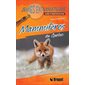 Mammifères du Québec : Guide d'identification