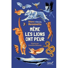 Même les lions ont peur : Neuf : 9-11