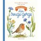 Un rouge-gorge : Dans mon jardin, il y a ... : Couverture rigide
