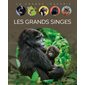 Les grands singes : La grande imagerie : Édition 2025