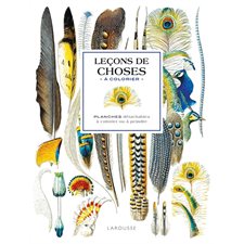 Leçons de choses à colorier : Planches détachables à colorier ou à peindre
