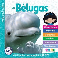 Les bélugas : Un premier documentaire photos : Mon Louloudoc