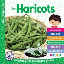 Les haricots : Un premier documentaire photos : Mon Louloudoc