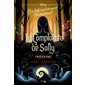 La complainte de Sally : Et si Sally avait découvert Christmastown ? : Twisted tale : 12-14