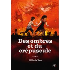 Des ombres et du crépuscule : Medium + : 12-14