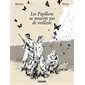 Les papillons ne meurent pas de vieillesse : Bande dessinée