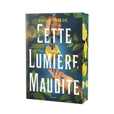 Cette lumière maudite : 12-14