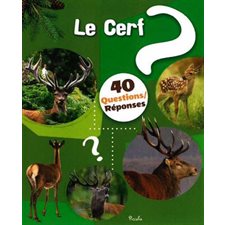 Le cerf : 40 questions réponses