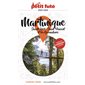 Martinique : Sainte-Lucie, Saint-Vincent et les Grenadines : 2025-2026 (Petit futé) : Petit futé. Country guide