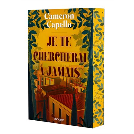 Je te chercherai à jamais : PAV : NR