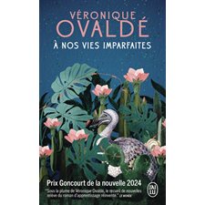 A nos vies imparfaites (FP) : J'ai lu. Littérature générale. Littérature française