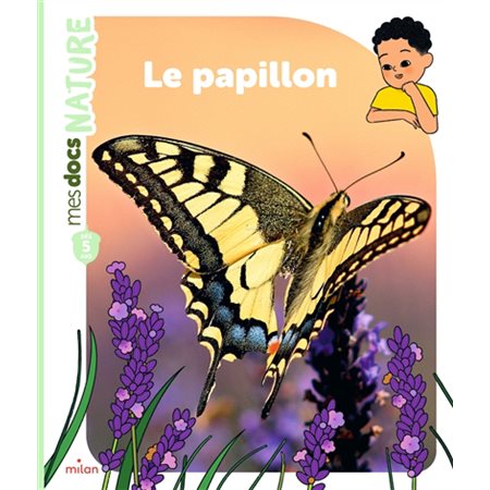 Le papillon : Mes docs nature