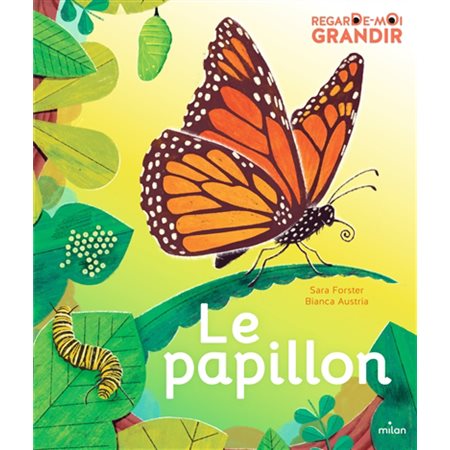 Le papillon : Regarde-moi grandir