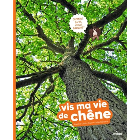 Vis ma vie de chêne : Vis ma vie