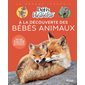 A la découverte des bébés animaux : Des quiz et des infos étonnantes sur les animaux ! : La grande imagerie : Défis nature