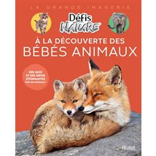 A la découverte des bébés animaux : Des quiz et des infos étonnantes sur les animaux ! : La grande imagerie : Défis nature
