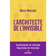 L'architecte de l'invisible ou Comment penser comme un chimiste