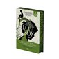 Lost boy : A travers le miroir : 15-17