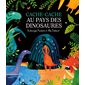 Cache-cache au pays des dinosaures : Couverture rigide