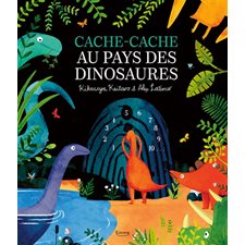 Cache-cache au pays des dinosaures : Couverture rigide
