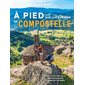 A pied sur les chemins de Compostelle (Lonely planet) : 1re édition : Voie du Puy-en-Velay, camino Francés, camino de Fisterra