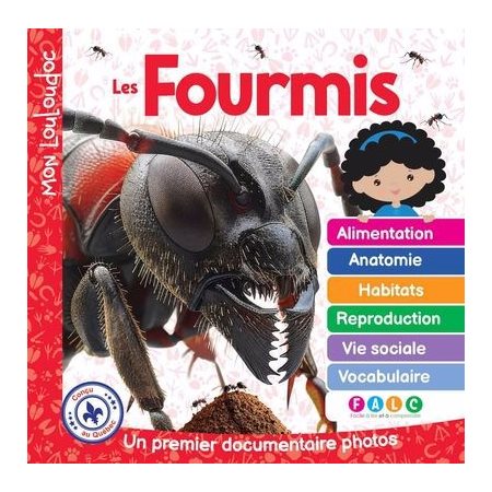 Les fourmis : Un premier documentaire photos : Mon Louloudoc