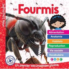 Les fourmis : Un premier documentaire photos : Mon Louloudoc