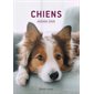 Chiens : Agenda 2026 : Une année qui aura du chien ! : 1 jour  /  1 page : De janvier à décembre 2026