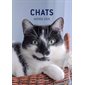 Chats : Agenda 2026 : Soyez heureux au gré des ronrons ! : 1 jour  /  1 page : De janvier à décembre 2026