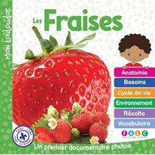 Les fraises : Un premier documentaire photos : Mon Louloudoc
