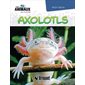 Les animaux du monde : Axolotls