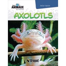 Les animaux du monde : Axolotls