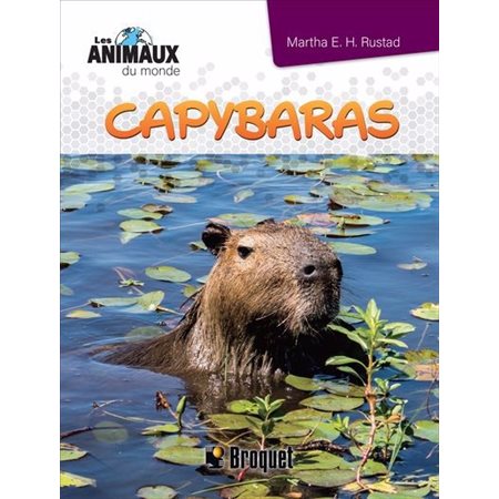 Les animaux du monde : Capybaras