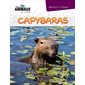 Les animaux du monde : Capybaras