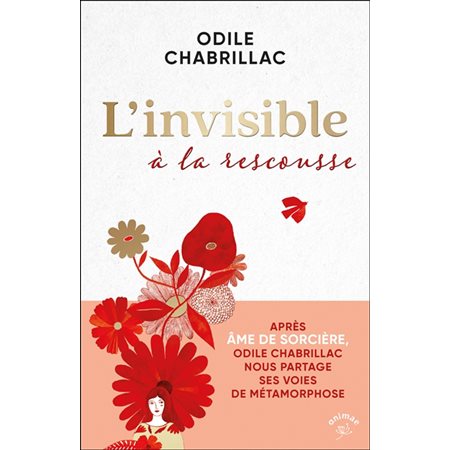 L'invisible à la rescousse