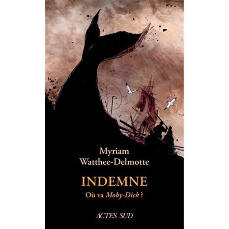 Indemne : où va Moby-Dick ?