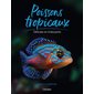 Poissons tropicaux : Délicats et chatoyants