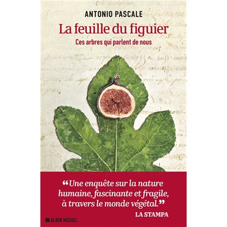 La feuille du figuier : Ces arbres qui parlent de nous