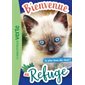 Bienvenue au refuge T.09 : Le plus beau des chats ! : 6-8