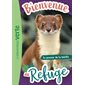 Bienvenue au refuge T.12 : Le pouvoir de la belette : 6-8