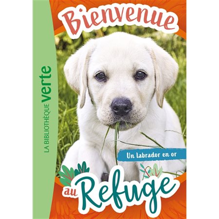Bienvenue au refuge T.08 : Un labrador en or : 6-8
