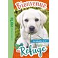 Bienvenue au refuge T.08 : Un labrador en or : 6-8