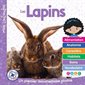 Les lapins : Mon Louloudoc