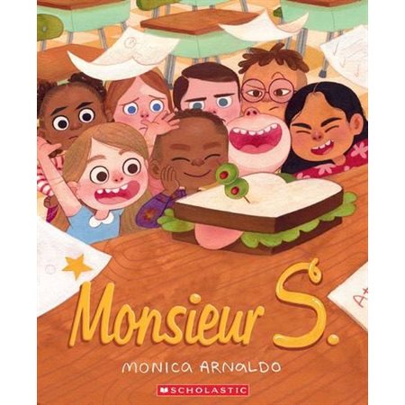 Monsieur S : Couverture souple