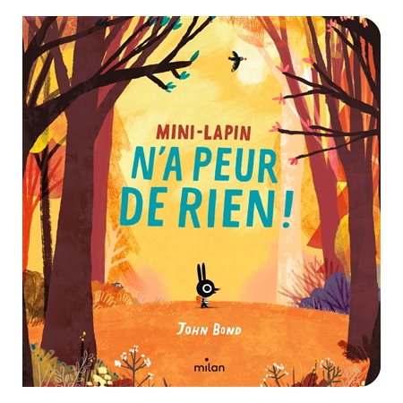 Mini-Lapin n'a peur de rien ! : Livre cartonné