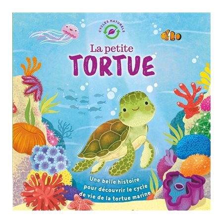 La petite tortue : Une belle histoire pour découvrir le cycle de vie de la tortue marine : Cycles naturels : Couverture rigide