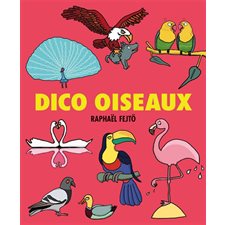 Dico oiseaux : Loulou & Cie