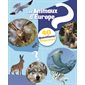Les animaux d'Europe : 40 questions réponses