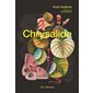 Chrysalide