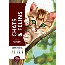 Chats et félins : Coloriages mystères
